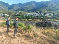 官渡镇：金秋沃野田间忙 油菜播种绘“丰”景