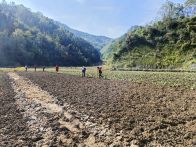 雨情停歇抢农时 大庙乡秋播掀热潮