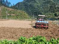 官渡镇：秋播正当时 农田绘新卷