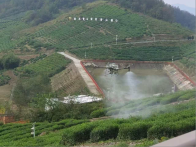 宝丰镇龙井村：“银翼”除虫 茶香“突围”