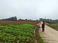 秦古镇扎实开展高标准农田核查