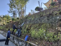 官渡镇于“边角”处生花  雕琢美丽乡村“新画卷”