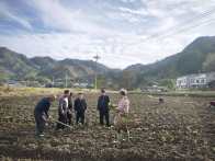 大庙乡：不误农时抓秋播 科学管理促增收