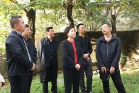 王麗媛在雙臺鄉(xiāng)現(xiàn)場部署滑坡體治理