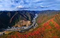 深秋红叶漫山 生态道路如画