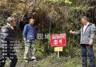 擂鼓镇：交叉检查筑牢矿山安全防线