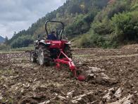 双台乡：村里有了“新农人”