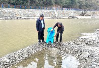 投苗引雁归，竹山为越冬候鸟备足“生态粮仓”！