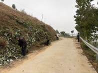 溢水镇：环境整治再发力 乡村颜值新提升