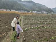 大庙乡：冬地翻耕忙  播种新希望