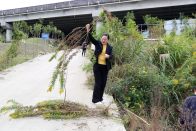 县农业农村局：清除外来入侵物种 守护生态安全