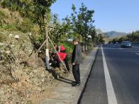 溢水镇：干部先行 擦亮乡村新底色