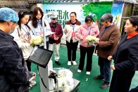 柿树坪小学：饭菜好不好 家长说了算