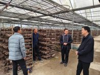 大庙乡：精准走访暖企心  政策宣讲优环境