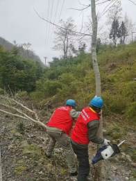 县供电公司清理树障  筑牢电网安全防线