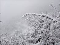 竹坪乡迎首场降雪 银装素裹润泽山乡