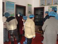 擂鼓镇护驾幼儿园举办家长开放日活动