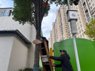 城区主要树木悬挂“智慧身份证” 市民扫码即阅“绿色科普窗”