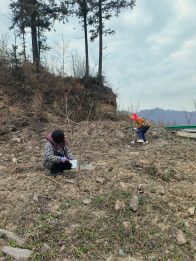 大庙乡扎实开展苗木防冻防虫工作