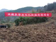 大庙乡：抓好烟叶管护 助农增收致富