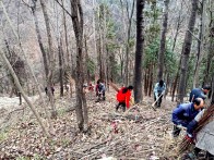 陈孝勤：深耕林下经济助振兴