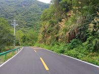 楼台乡：砥砺奋进绘新景 实干笃行促振兴