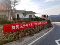 上庸镇：多元宣传筑防线 全民护林守青山