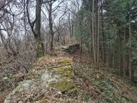 大庙乡开展古长城遗址安全巡查工作