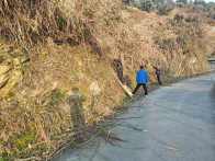 从“路肩”到“美肩”：秦古镇乡村道路“梳妆记”