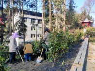竹坪乡：寒冬植绿添新景 美化乡村促振兴