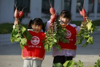 宝丰镇第二幼儿园：田园课堂育新苗 劳动教育润童心