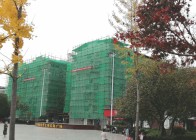   宝丰镇：“民意流水线”绘就家园新貌