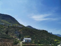 我县3名大学生创业项目获省级奖补