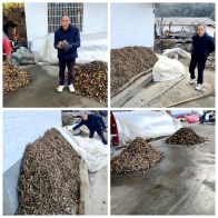 竹坪乡：黄姜晒出增收景  “靠山”有了新内涵