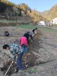 大庙乡：群众齐心填埋裸露水管 筑牢冬季供水“防护网”