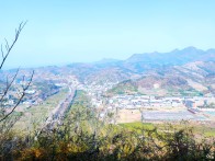 冬日竹坪美如画