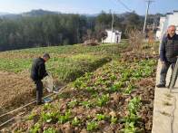 秦古镇：激活生态“血脉” 答好河道“治理卷”