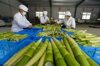 竹山2家企业入选省级林业产业化重点龙头企业