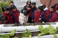 宝丰镇施洋小学：深耕劳动实践育新人