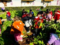 溢水镇：自然劳动 育自然人