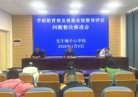 宝丰镇：聚力“三领”目标  实现“幼有优育”