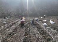 我县保障性苗圃建设掀热潮