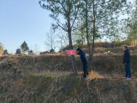 上庸镇：多举措筑牢森林防火墙