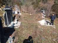 麻家渡镇：统筹施策筑防线 示范引领护山林