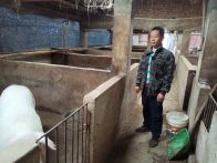 深河乡：精准帮扶御严寒 稳产保供守防线