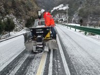 雪中的那抹橘红