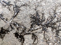 寒凝大地绘芳华