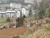 官渡镇：清除公墓杂草 筑牢安全屏障