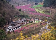 我县部署2026年第一季度巡林重点工作