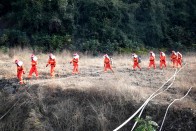 县林业局：节前安排强督导  筑牢森林“防火墙”